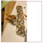 Best Shrimp Tempura in Ithaca, NY